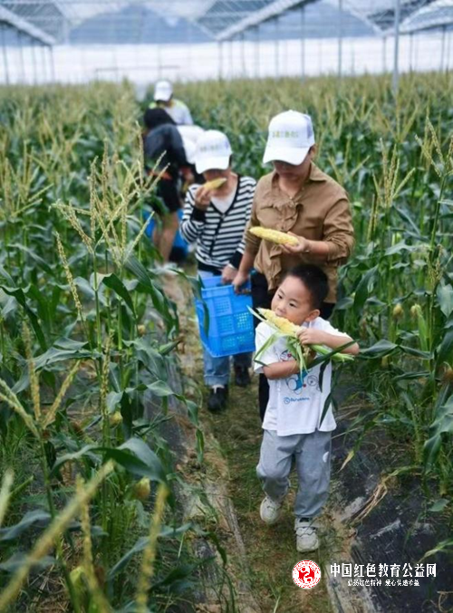 21133984511752293_5.png 21133984511752293_5.png