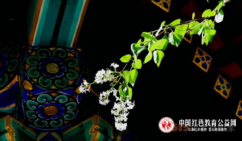 保11.jpg