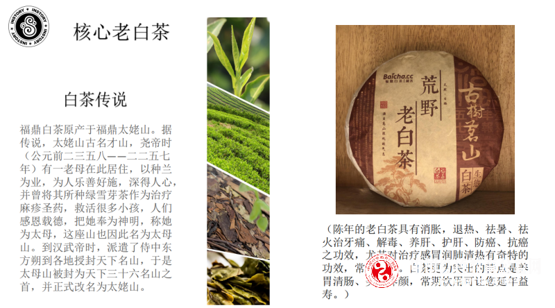 7_副本.png