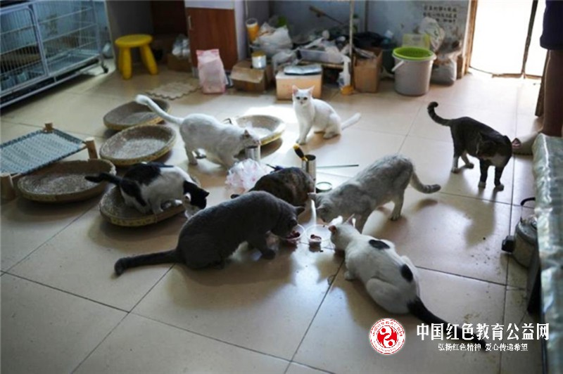 1745807695164758.jpg 微信图片_20250428102900_副本.jpg