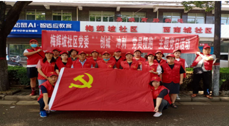 梅辉坡社区党委开展 “‘创城’冲刺、党员领跑”主题党日活动