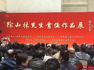 “杂书野趣笔墨香——徐山林书法作品展在”